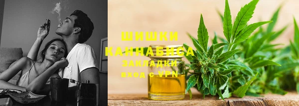 молекула духа Нязепетровск