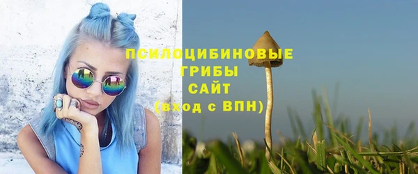 мдма Няндома