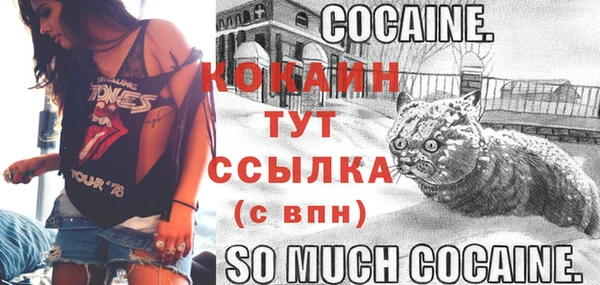 мдма Няндома