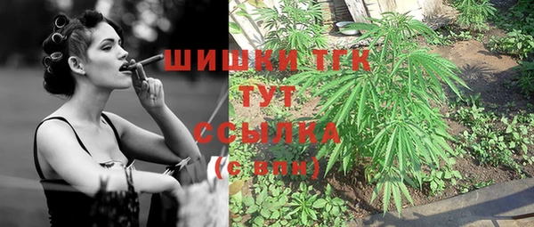 молекула духа Нязепетровск