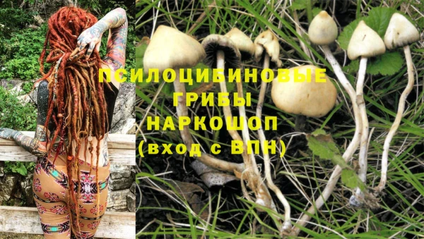крисы Нягань