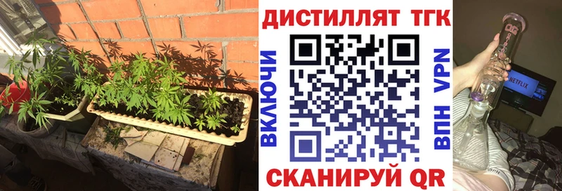 где можно купить   Рыбное  Дистиллят ТГК концентрат 