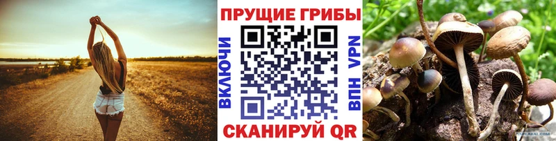 Галлюциногенные грибы Magic Shrooms  где можно купить наркотик  Рыбное 